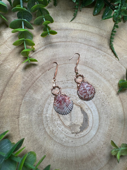 Scallop Shell Earrings | Copper Ashes