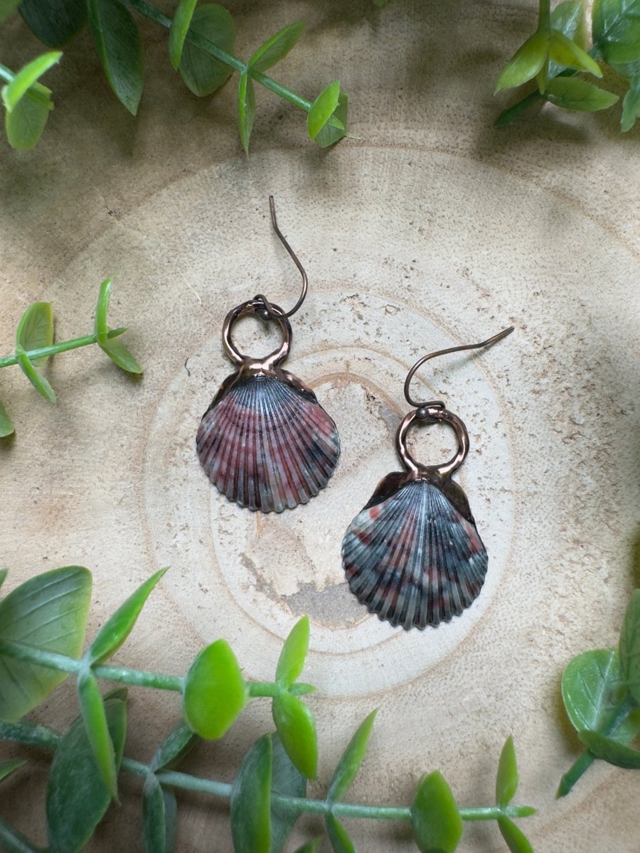 Scallop Shell Earrings | Copper Ashes