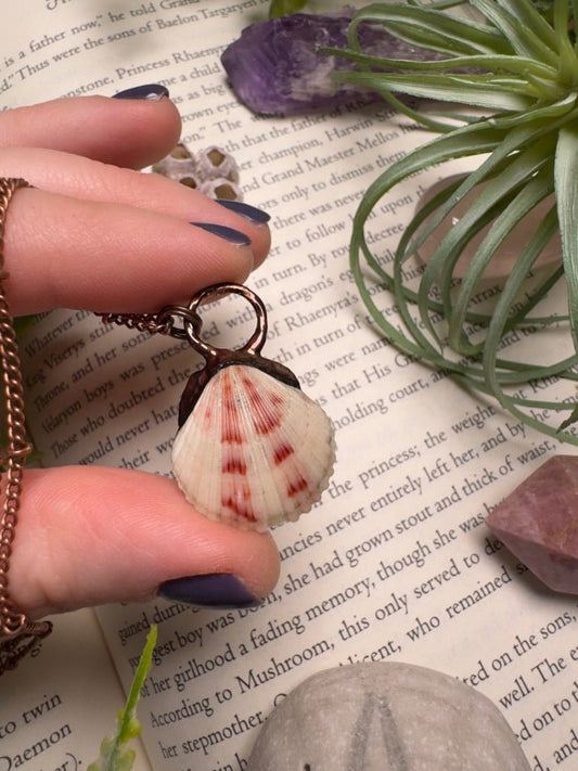 Scallop Shell Necklace | Copper Ashes