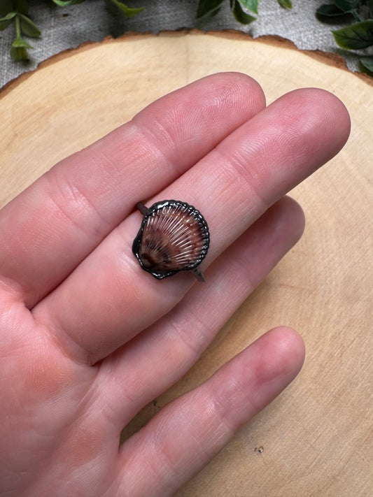 Scallop Shell Ring Size 6 | Copper Ashes