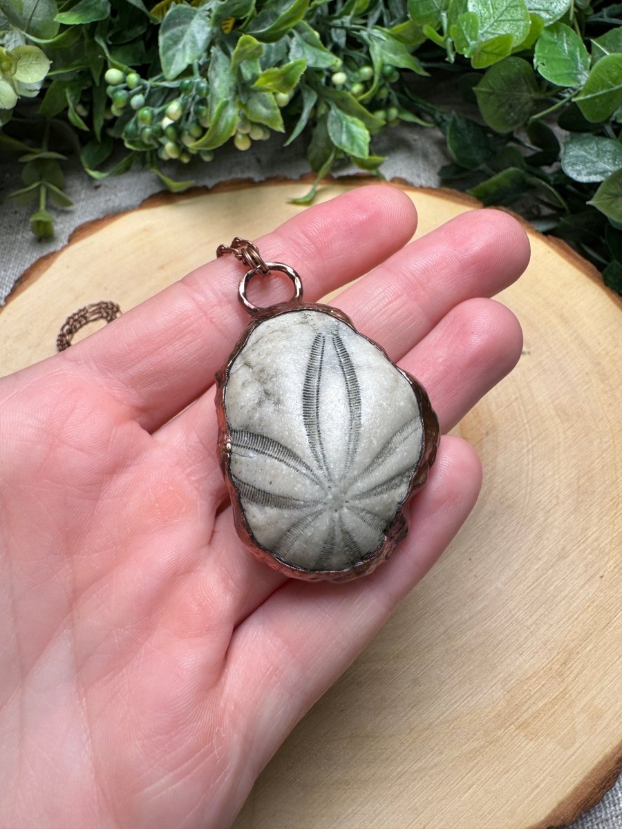 Sea Biscuit Fossil Necklace | Copper Ashes
