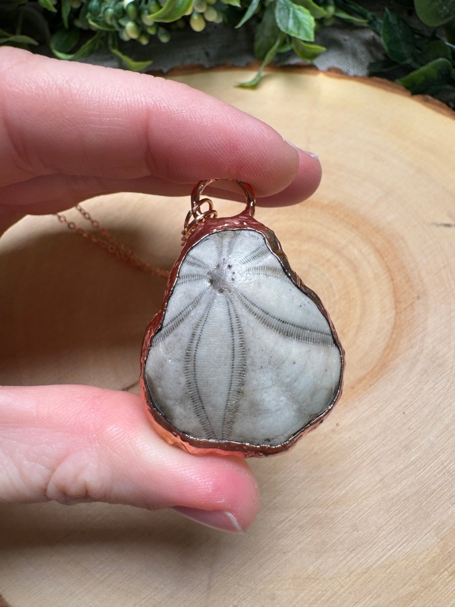 Sea Biscuit Fossil Necklace | Copper Ashes