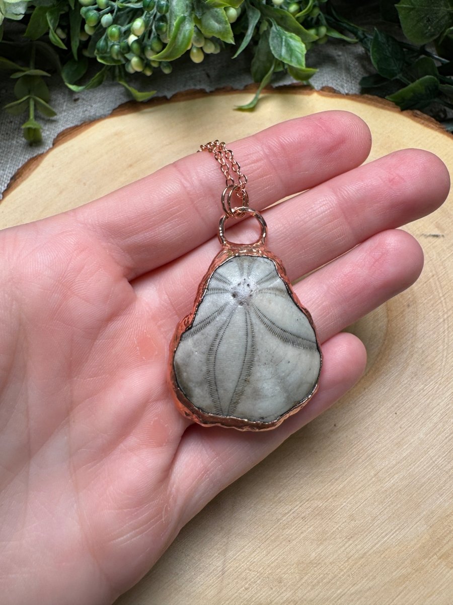 Sea Biscuit Fossil Necklace | Copper Ashes