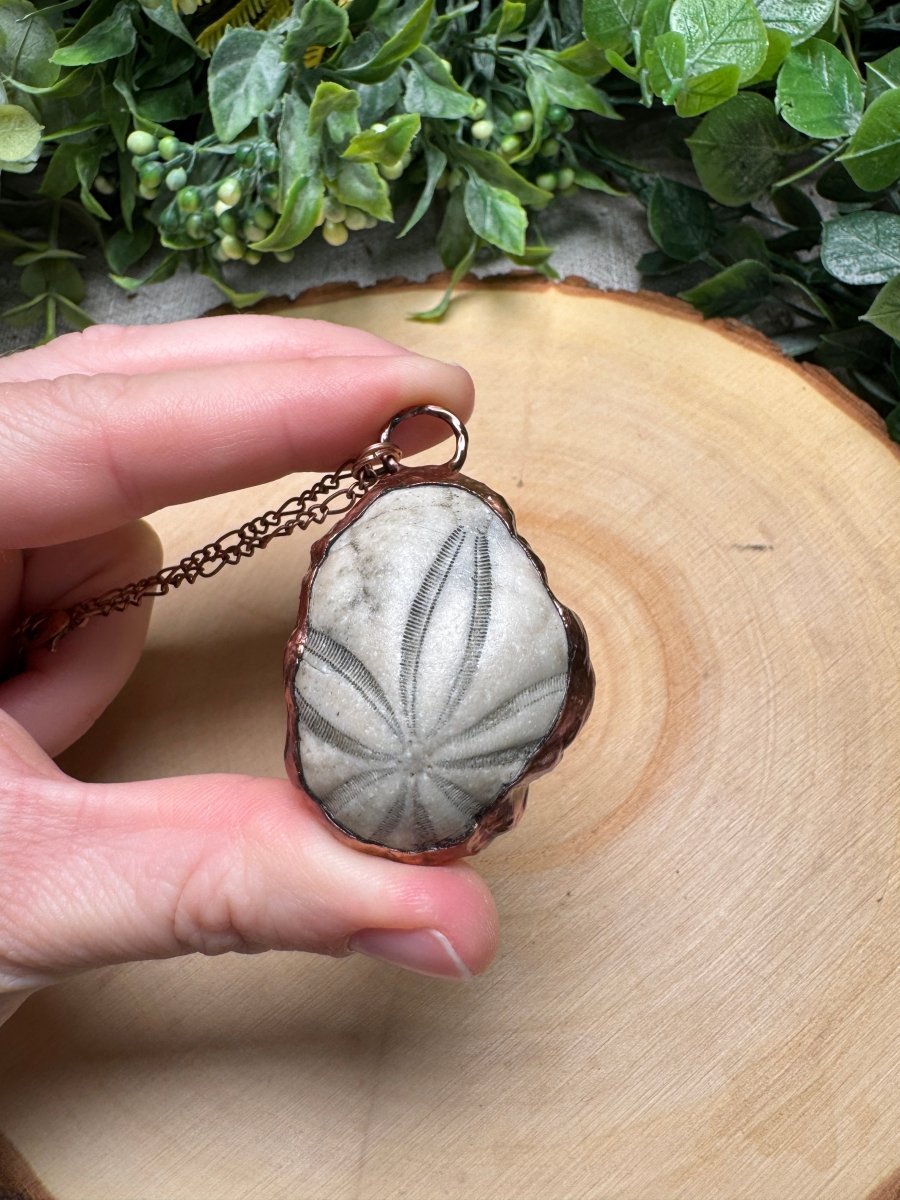 Sea Biscuit Fossil Necklace | Copper Ashes