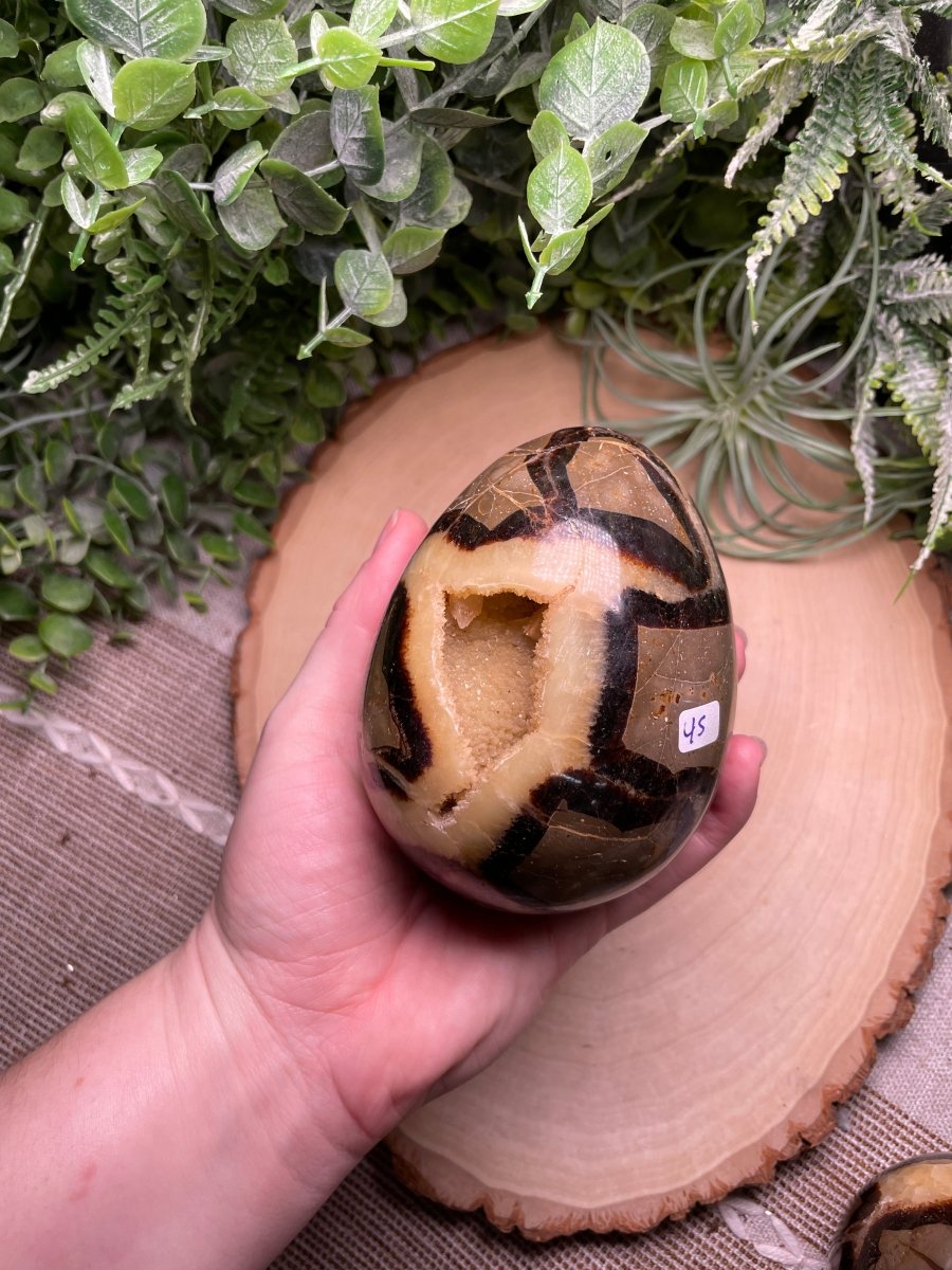 Septarian Egg | Copper Ashes