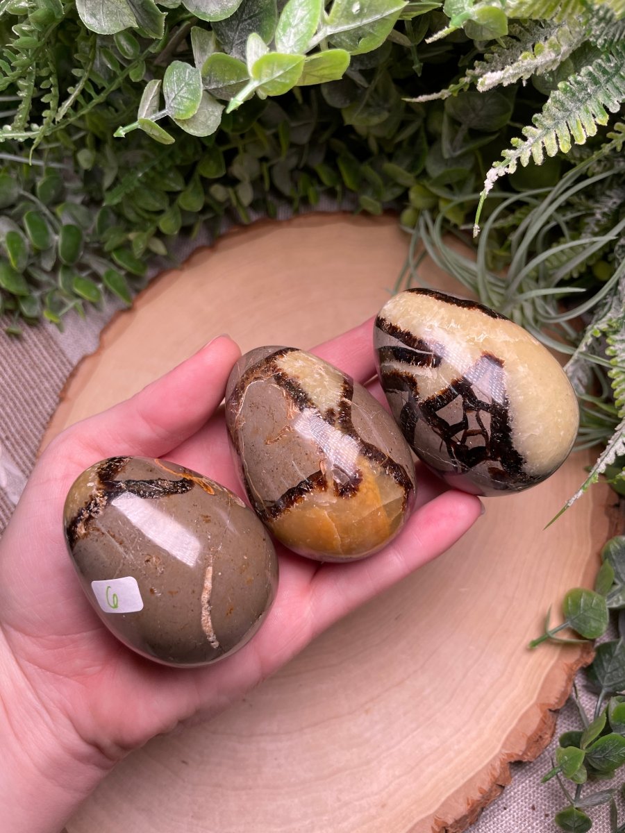 Septarian Egg | Copper Ashes
