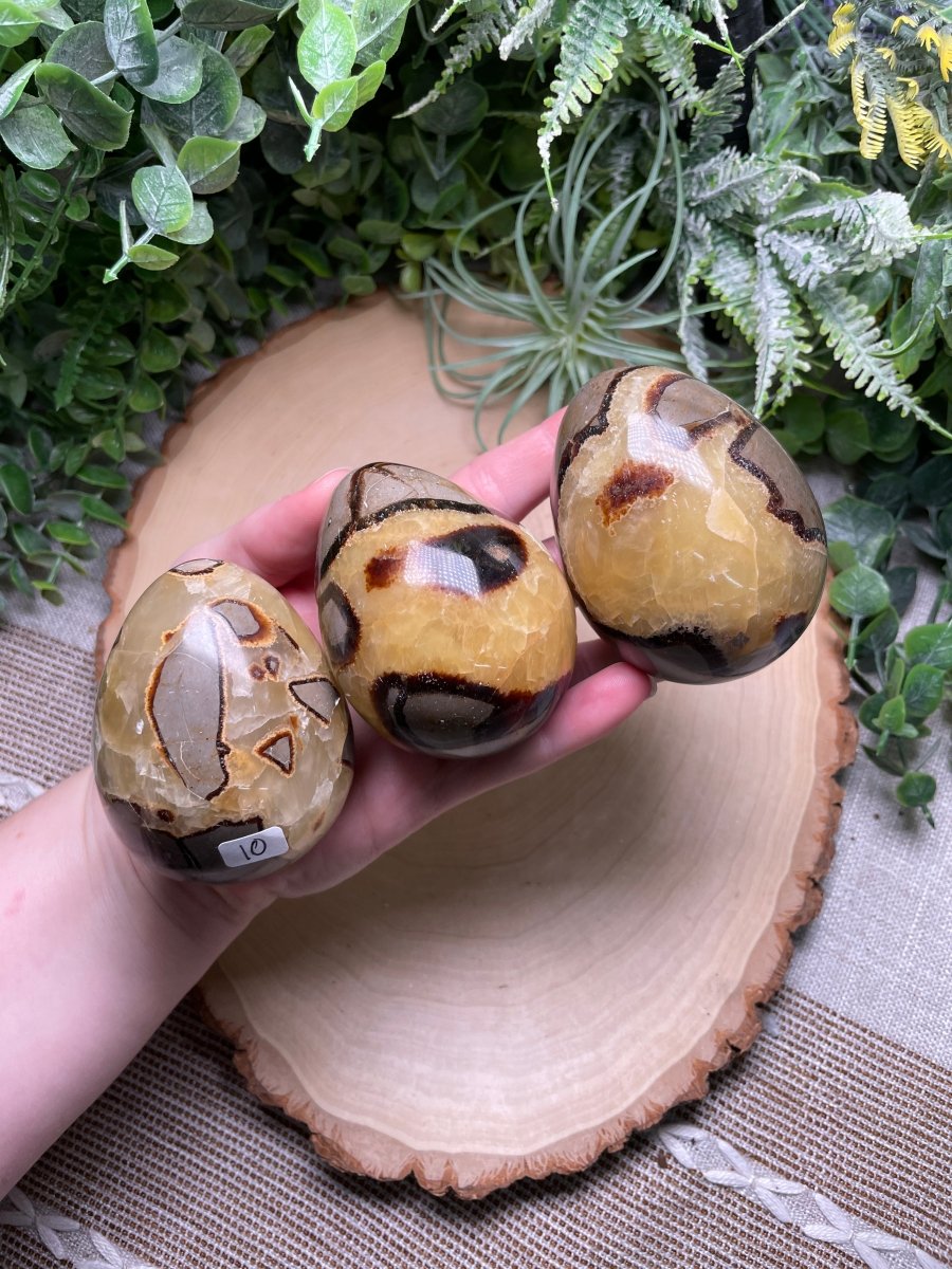 Septarian Egg | Copper Ashes