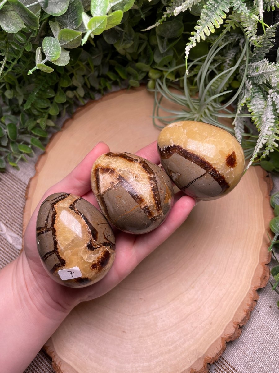 Septarian Egg | Copper Ashes