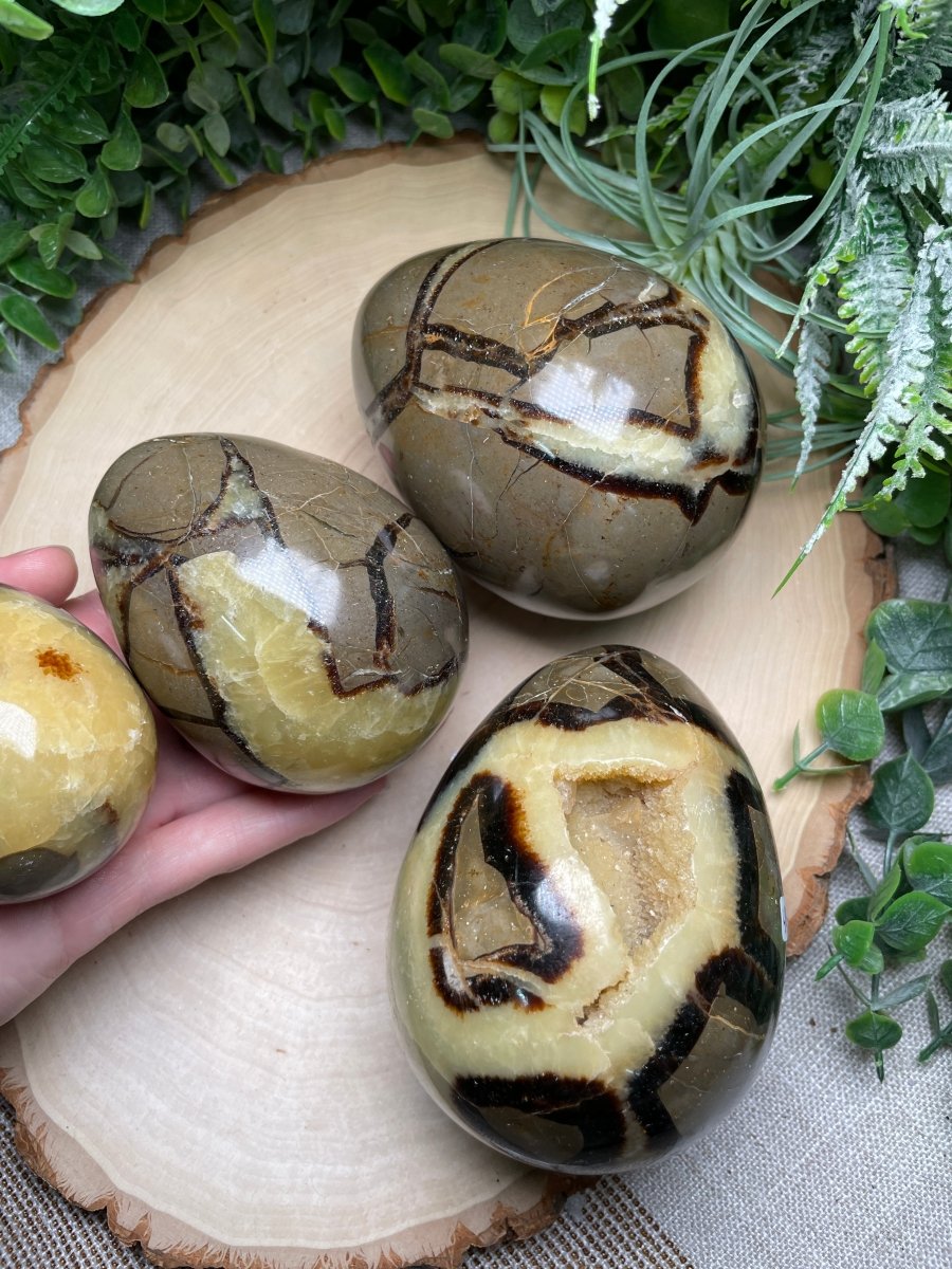 Septarian Egg | Copper Ashes