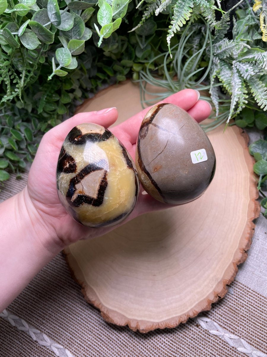 Septarian Egg | Copper Ashes