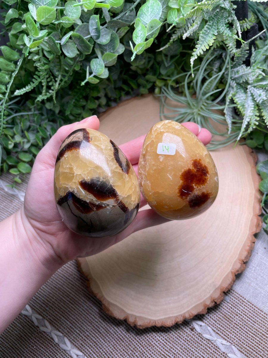 Septarian Egg | Copper Ashes