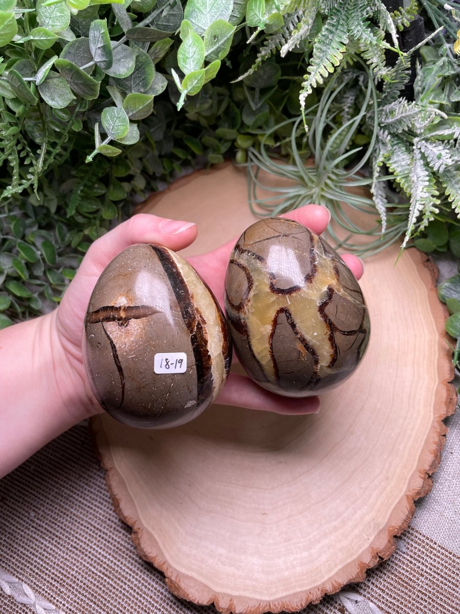 Septarian Egg | Copper Ashes