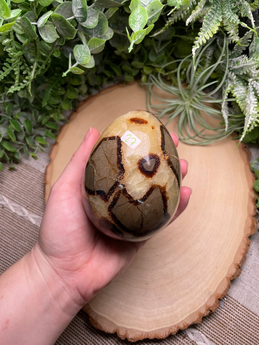 Septarian Egg | Copper Ashes