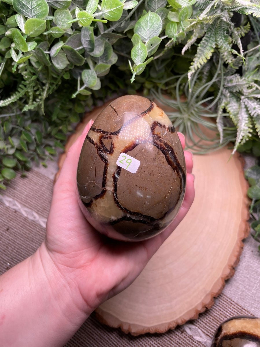 Septarian Egg | Copper Ashes