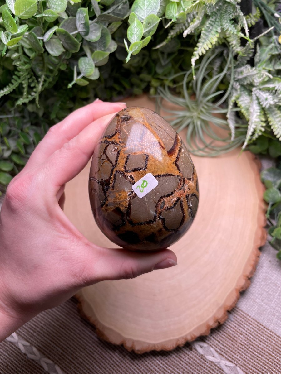 Septarian Egg | Copper Ashes