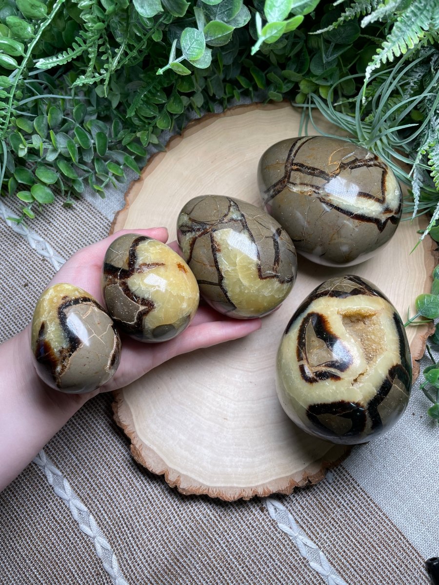 Septarian Egg | Copper Ashes