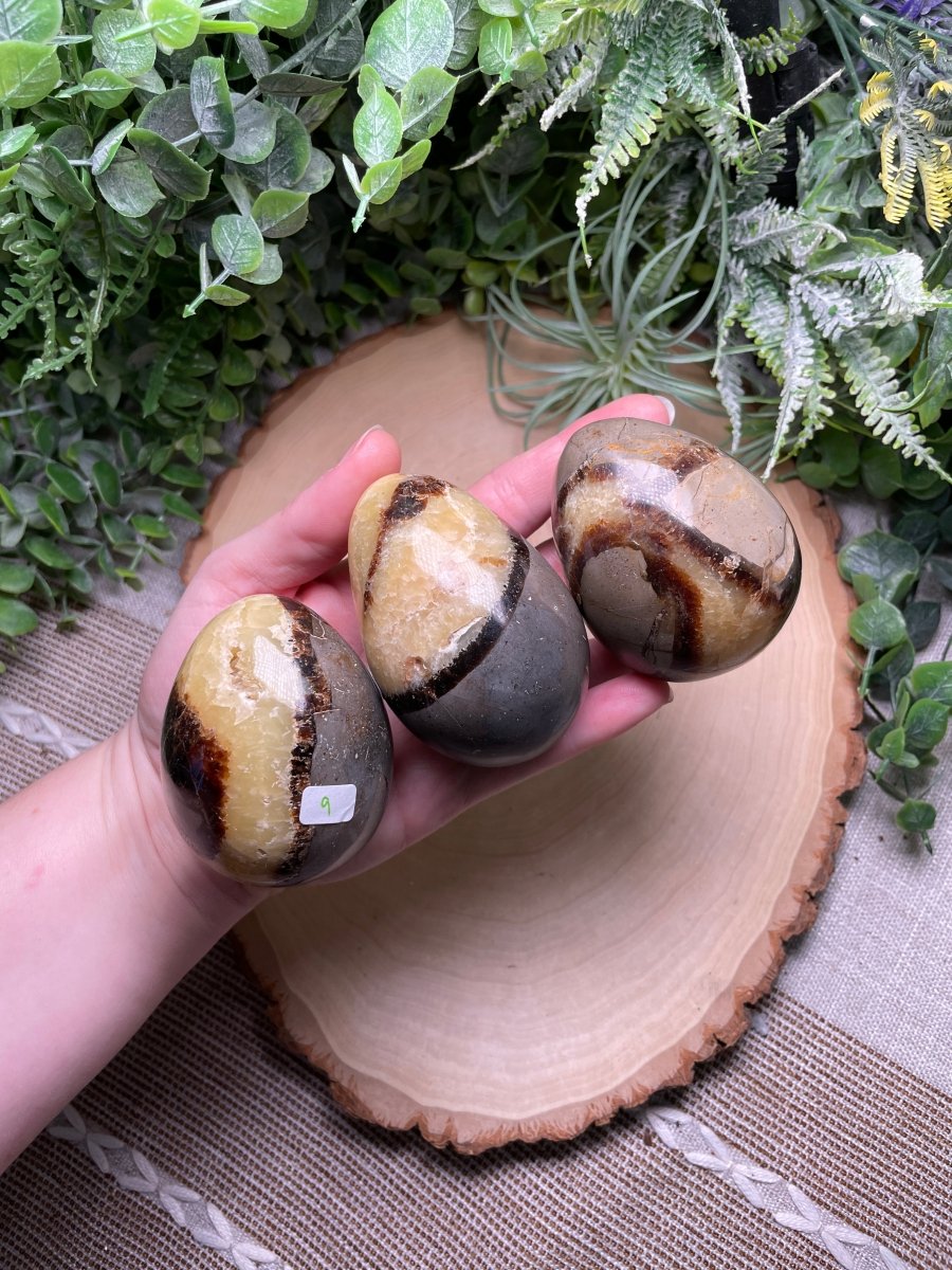 Septarian Egg | Copper Ashes