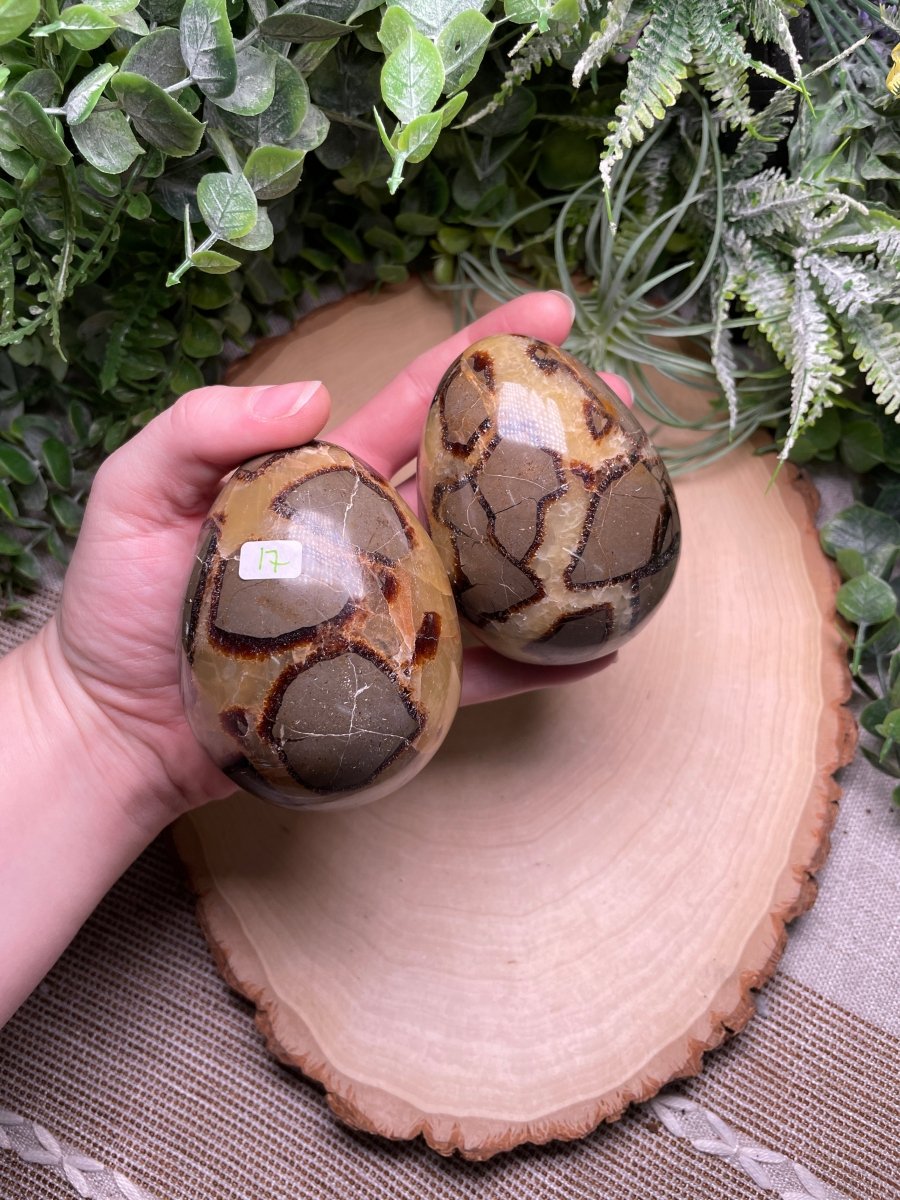 Septarian Egg | Copper Ashes