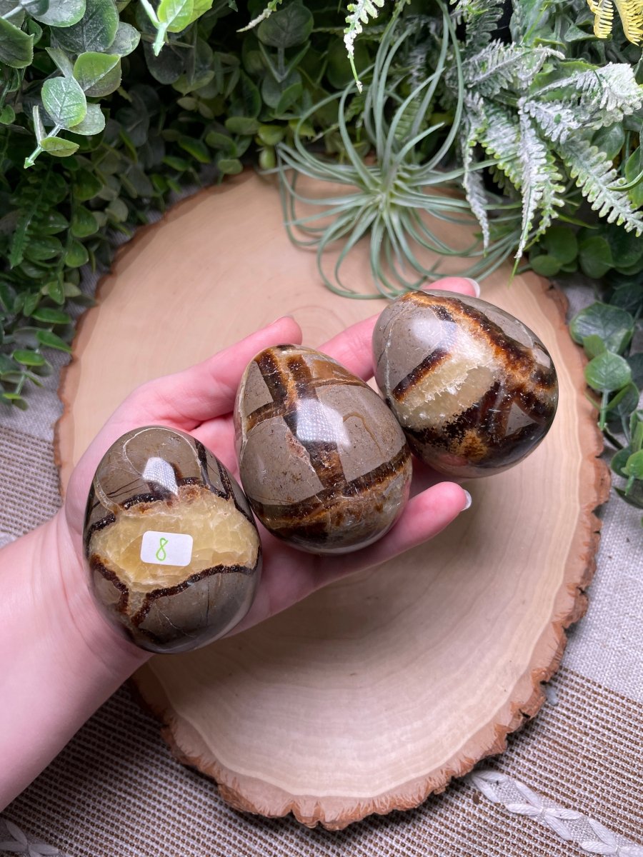 Septarian Egg | Copper Ashes