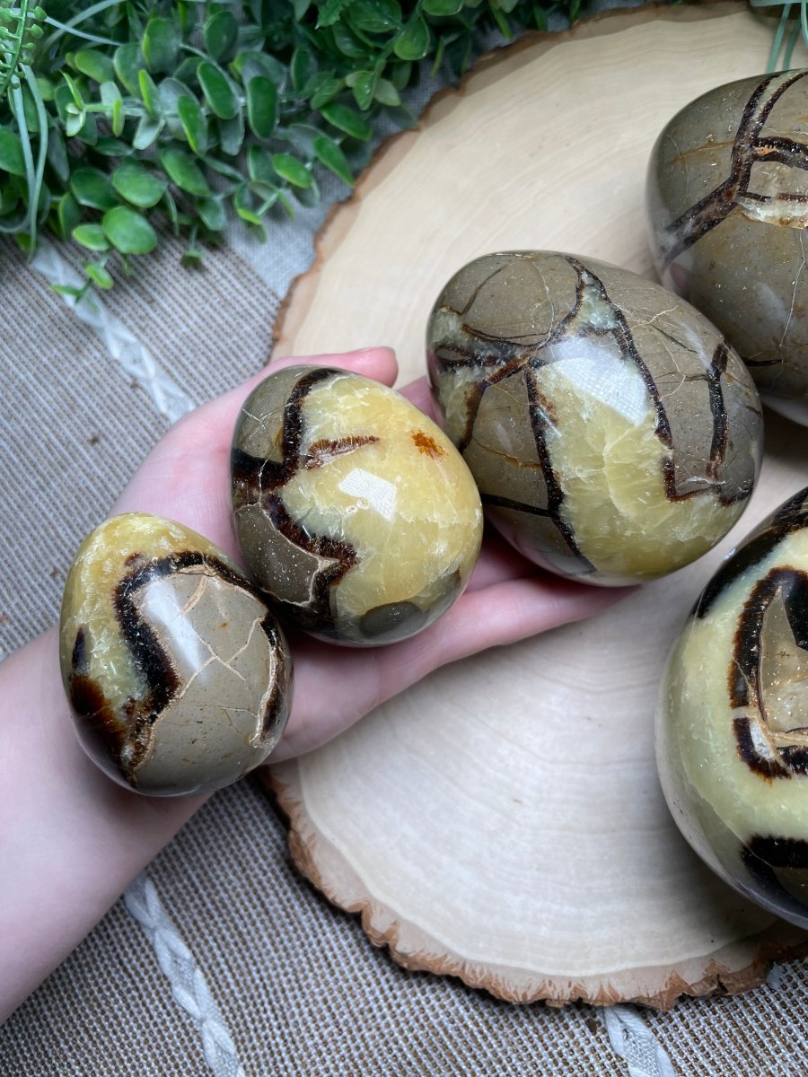 Septarian Egg | Copper Ashes