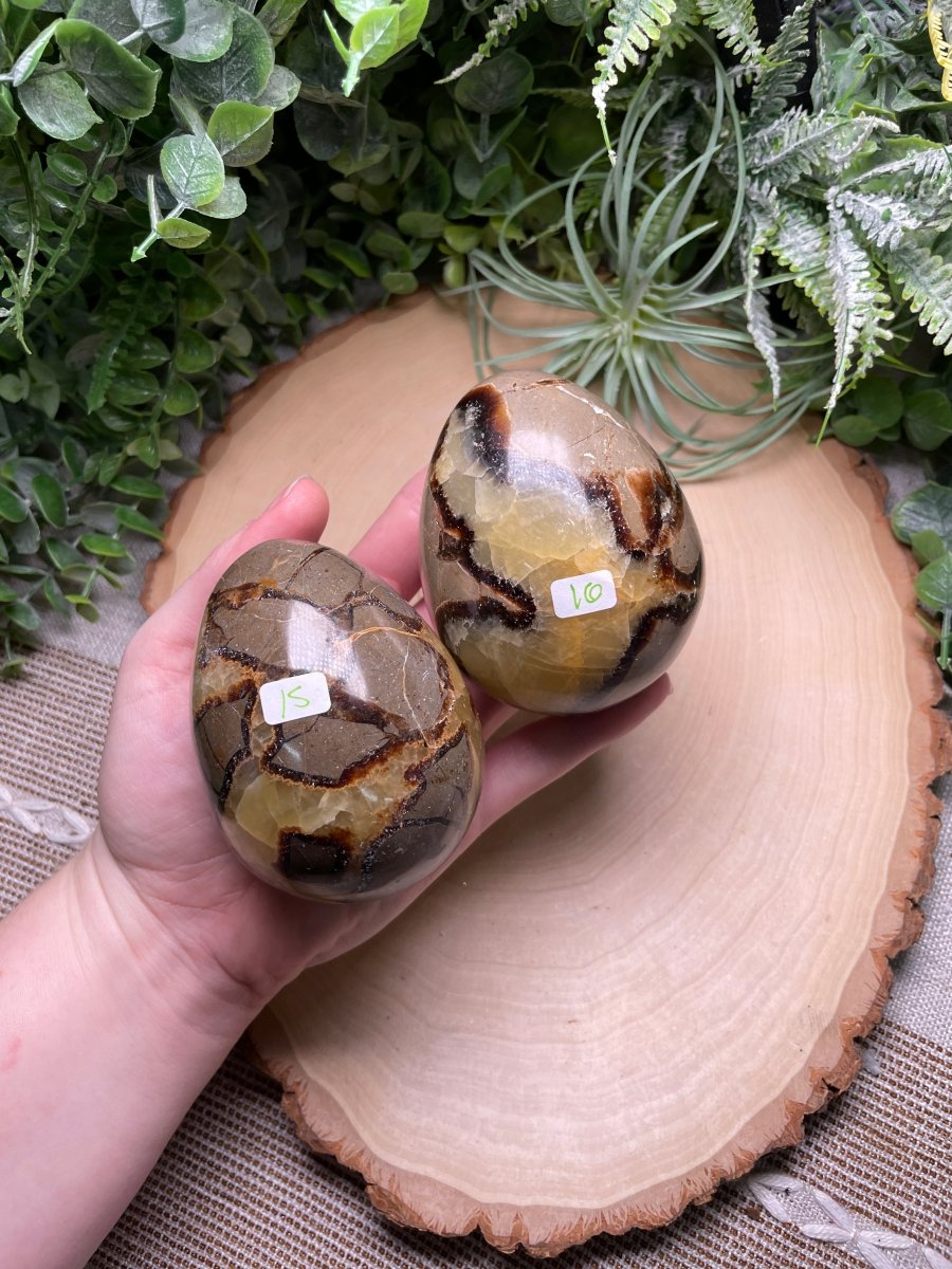 Septarian Egg | Copper Ashes