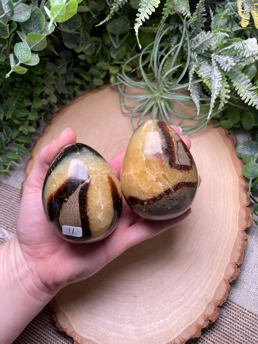 Septarian Egg | Copper Ashes