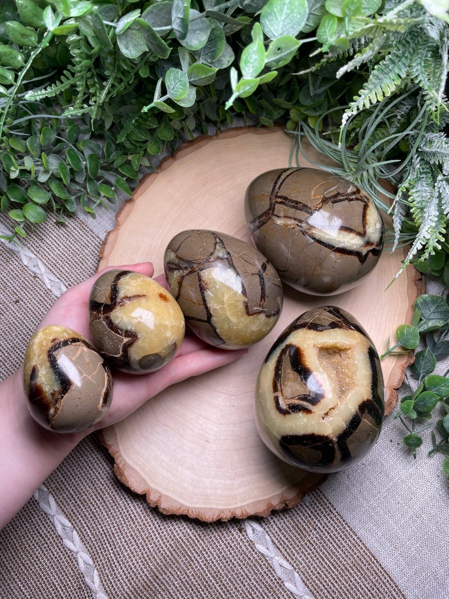 Septarian Egg | Copper Ashes