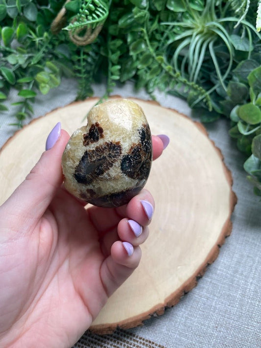 Septarian Freeform | Copper Ashes