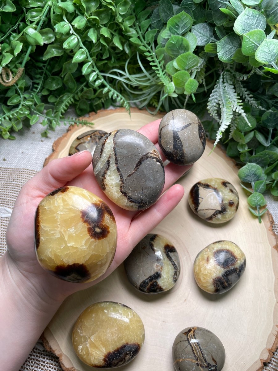 Septarian Palm Stone | Copper Ashes