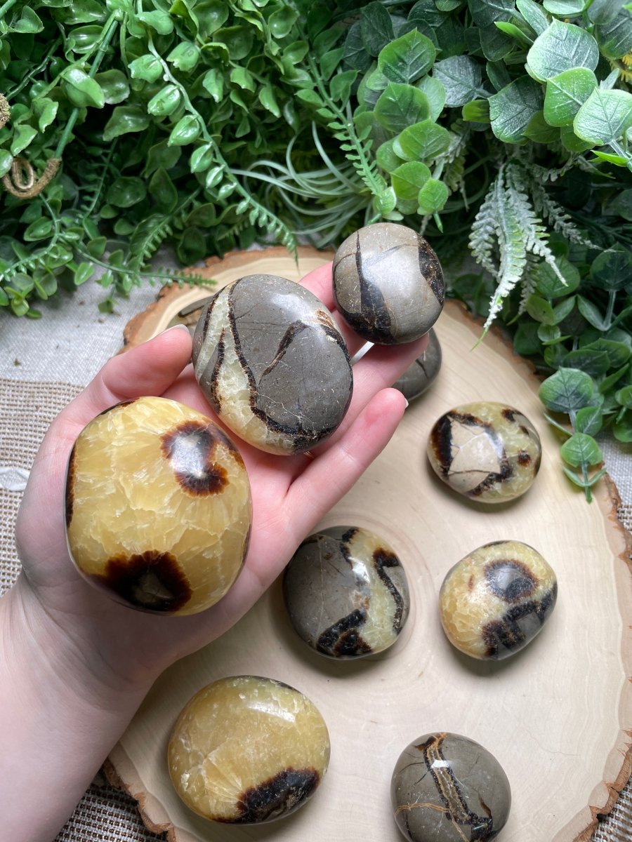 Septarian Palm Stone | Copper Ashes