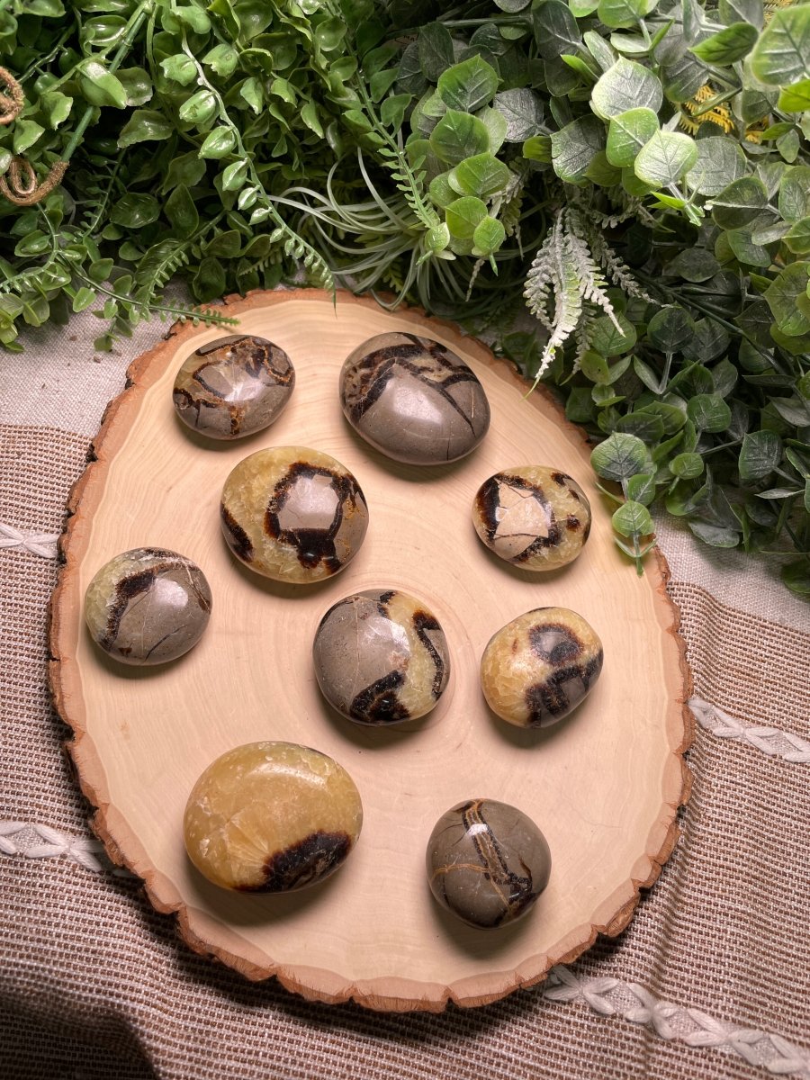 Septarian Palm Stone | Copper Ashes