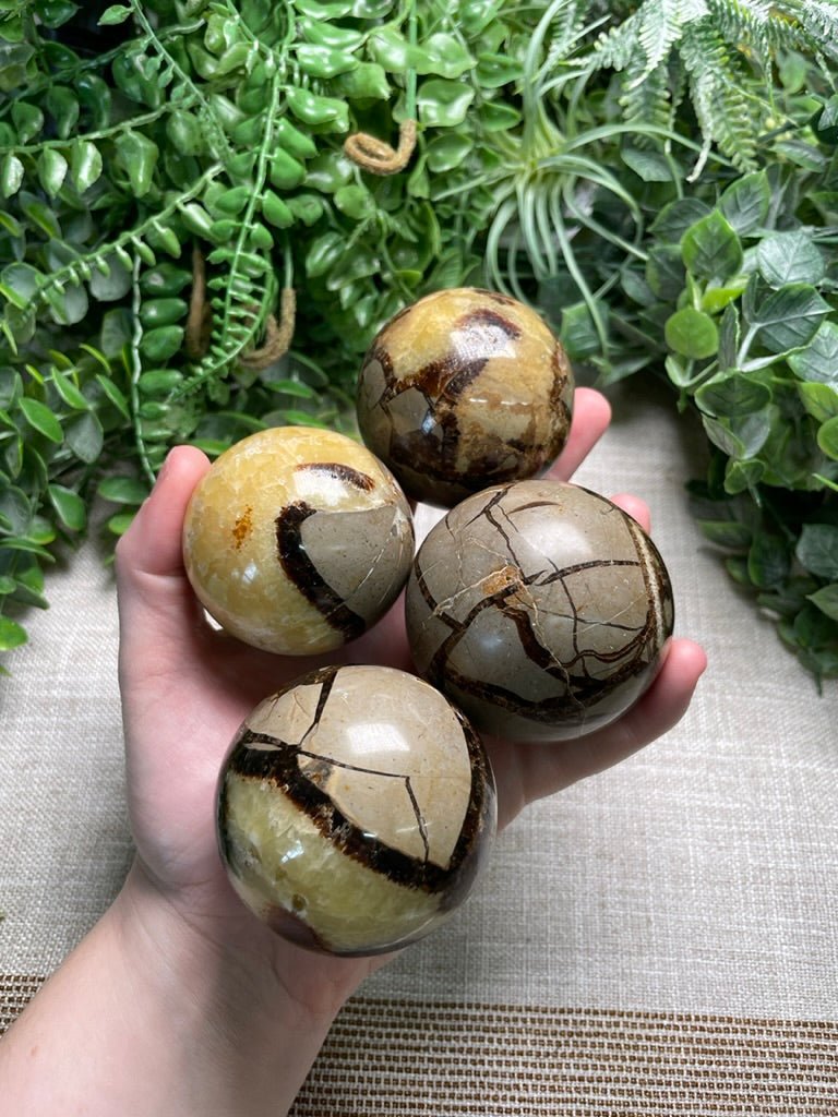 Septarian Sphere | Copper Ashes