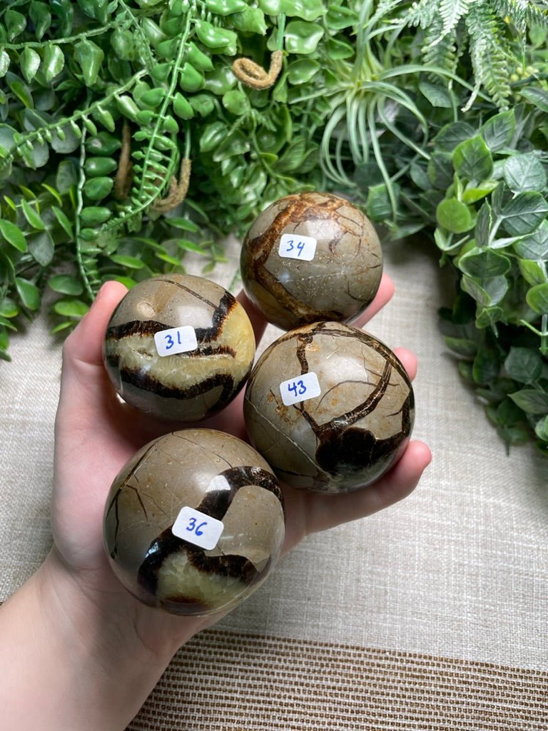 Septarian Sphere | Copper Ashes