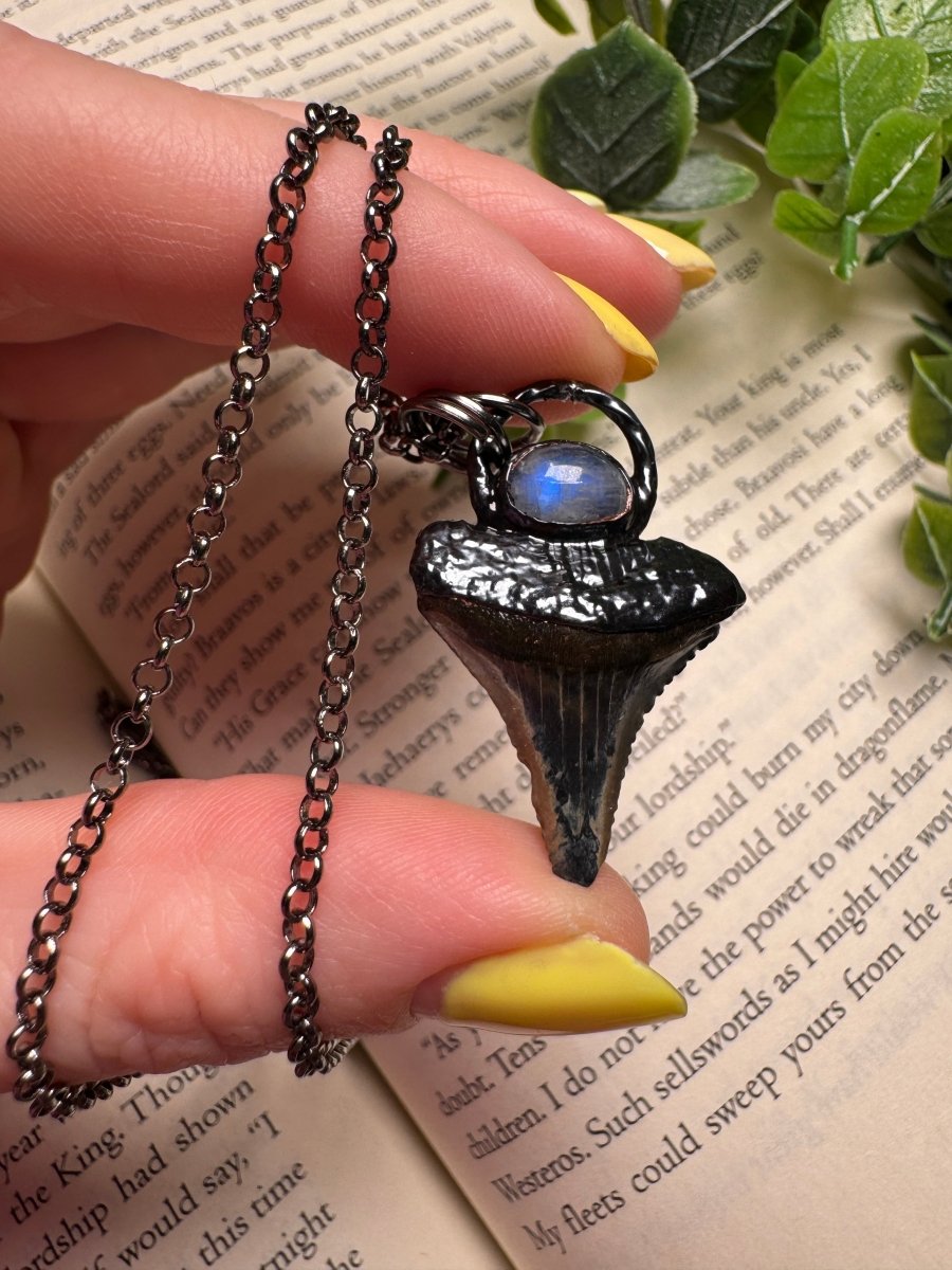 Shark Tooth and Moonstone Necklace | Copper Ashes