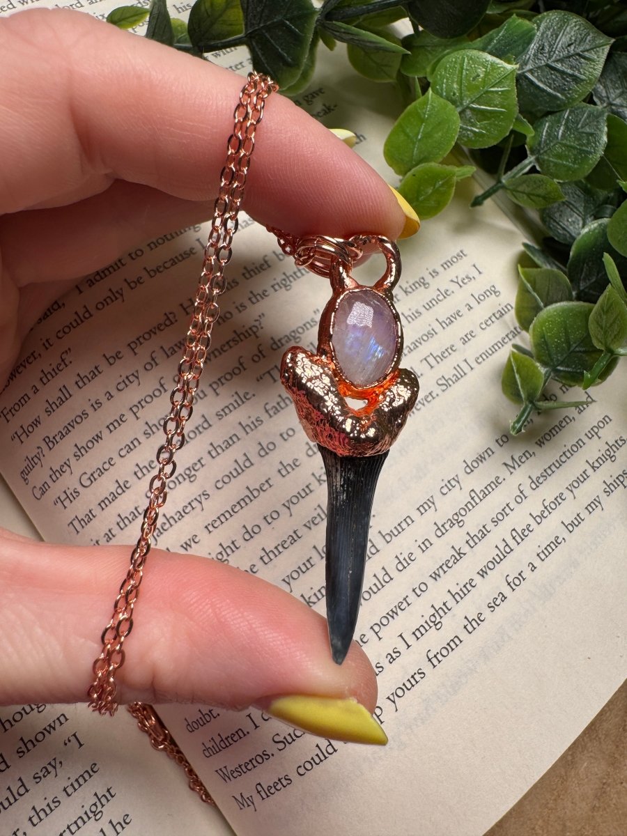 Shark Tooth and Moonstone Necklace | Copper Ashes