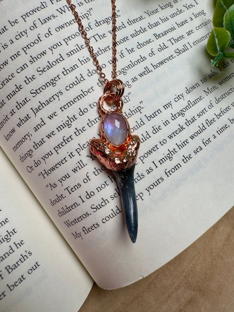 Shark Tooth and Moonstone Necklace | Copper Ashes