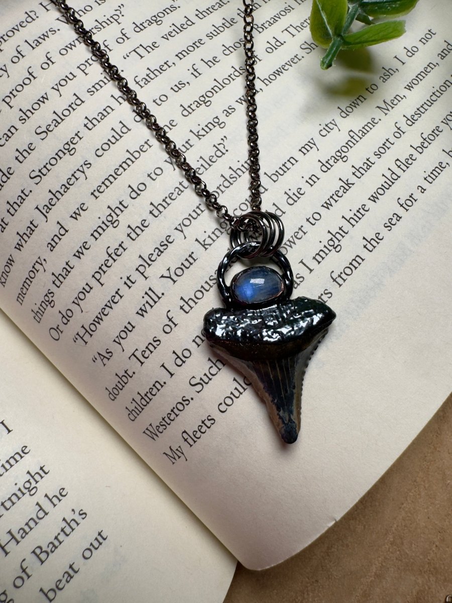 Shark Tooth and Moonstone Necklace | Copper Ashes