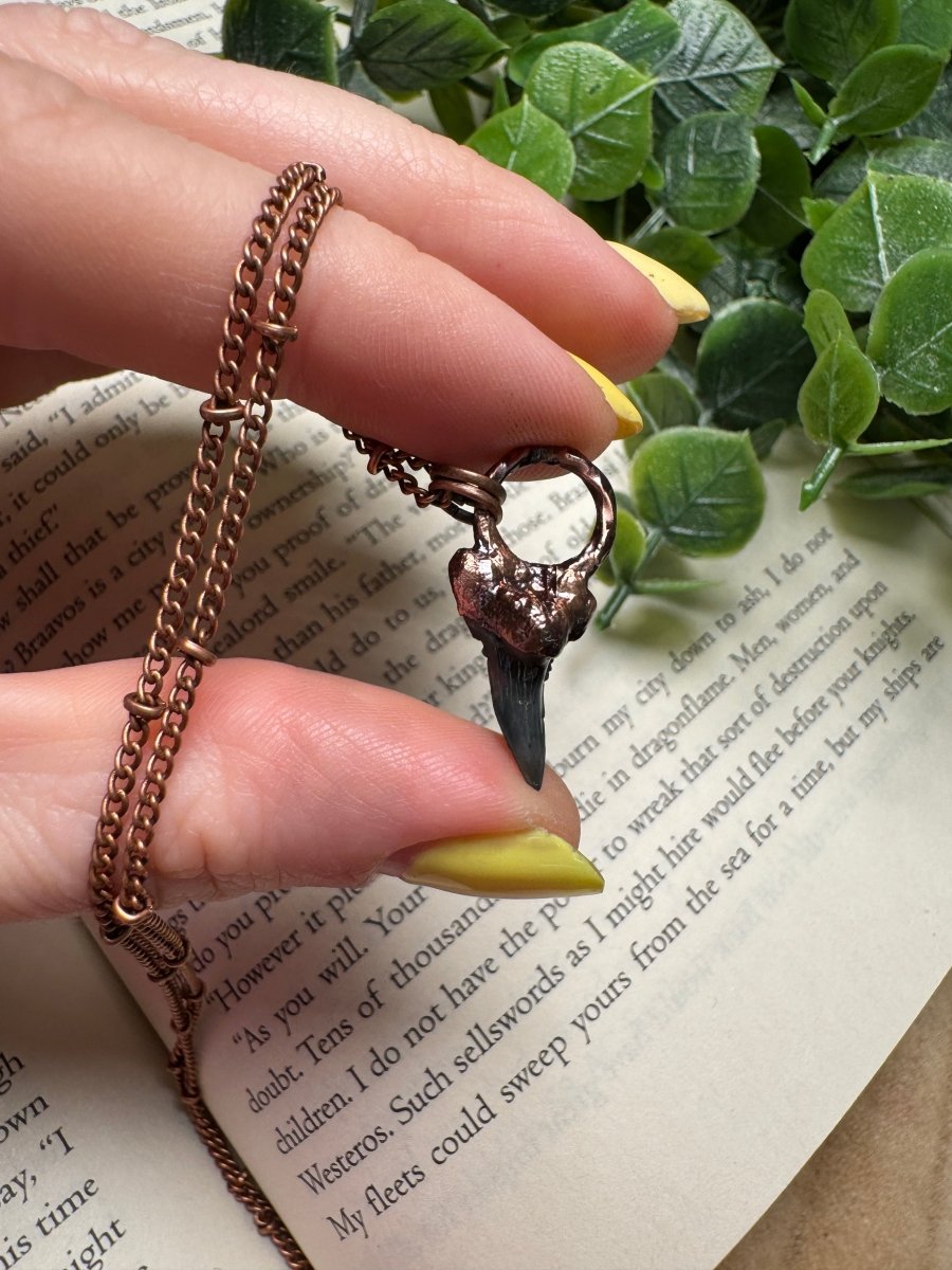 Shark Tooth Necklace | Copper Ashes