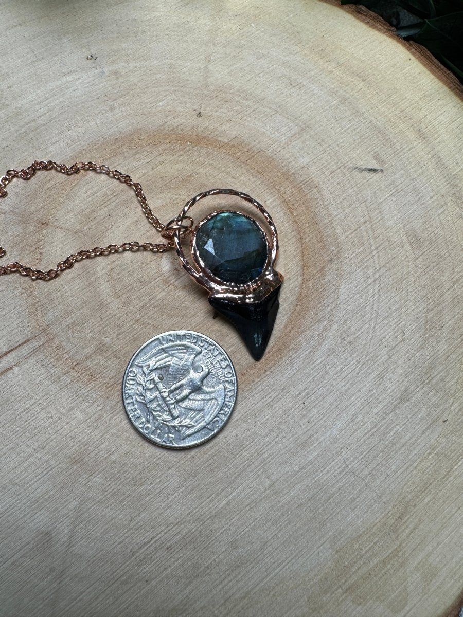 Shark's Tooth and Labradorite Necklace | Copper Ashes