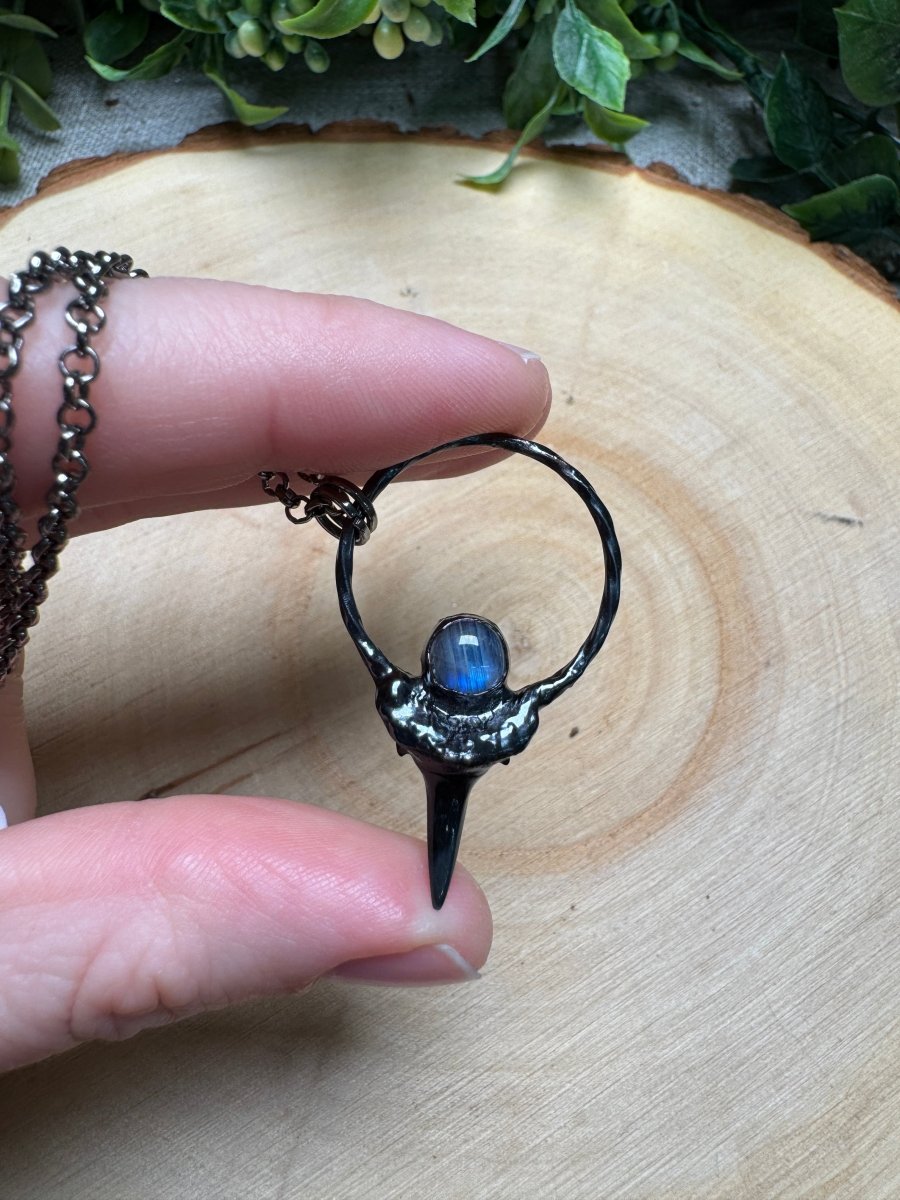 Shark's Tooth and Moonstone Necklace | Copper Ashes