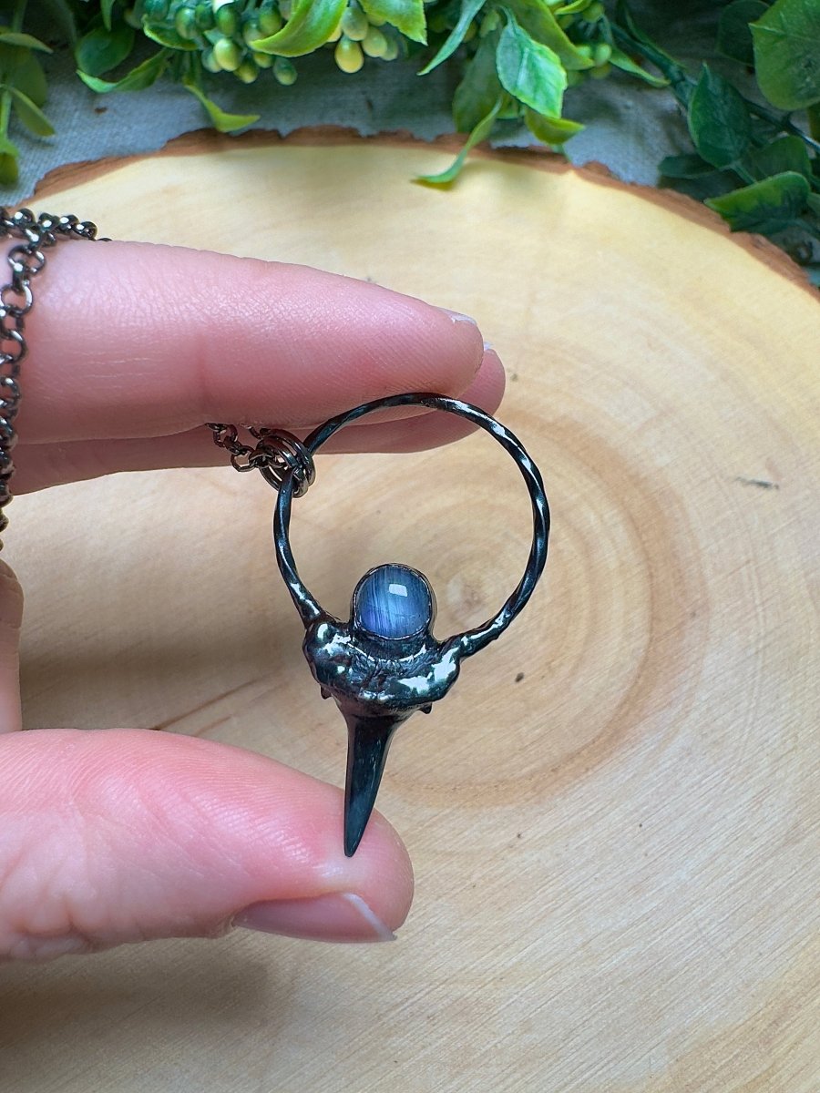 Shark's Tooth and Moonstone Necklace | Copper Ashes