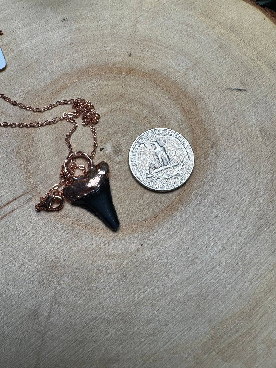 Shark's Tooth Necklace | Copper Ashes
