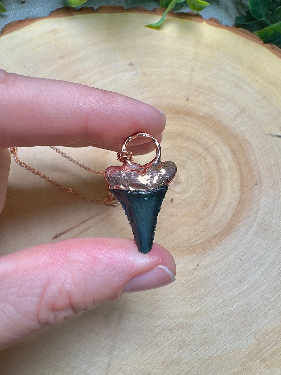 Shark's Tooth Necklace | Copper Ashes