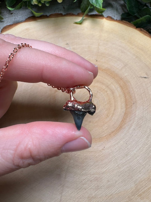 Shark's Tooth Necklace | Copper Ashes