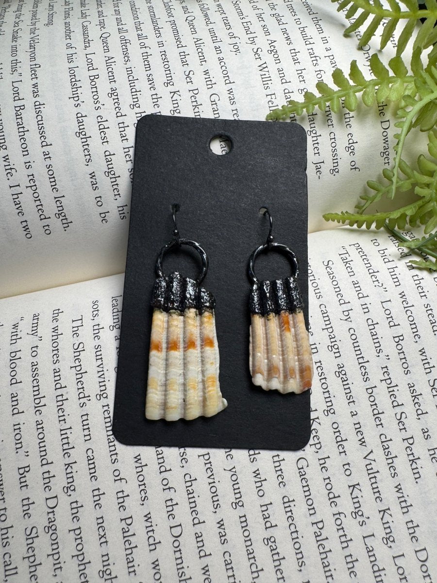Shell Earrings | Copper Ashes