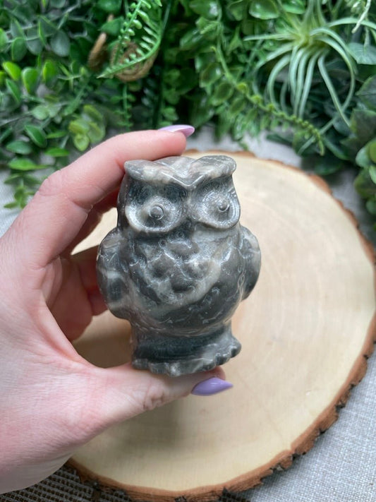 Shell Jasper Owl (chipped) | Copper Ashes