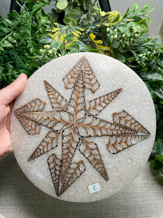 Shell Resin Decorative Plate E | Copper Ashes