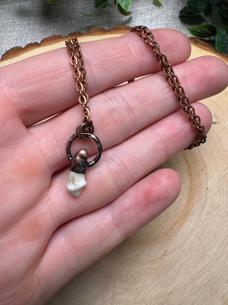 Sibyl - Canine Tooth Necklace | Copper Ashes
