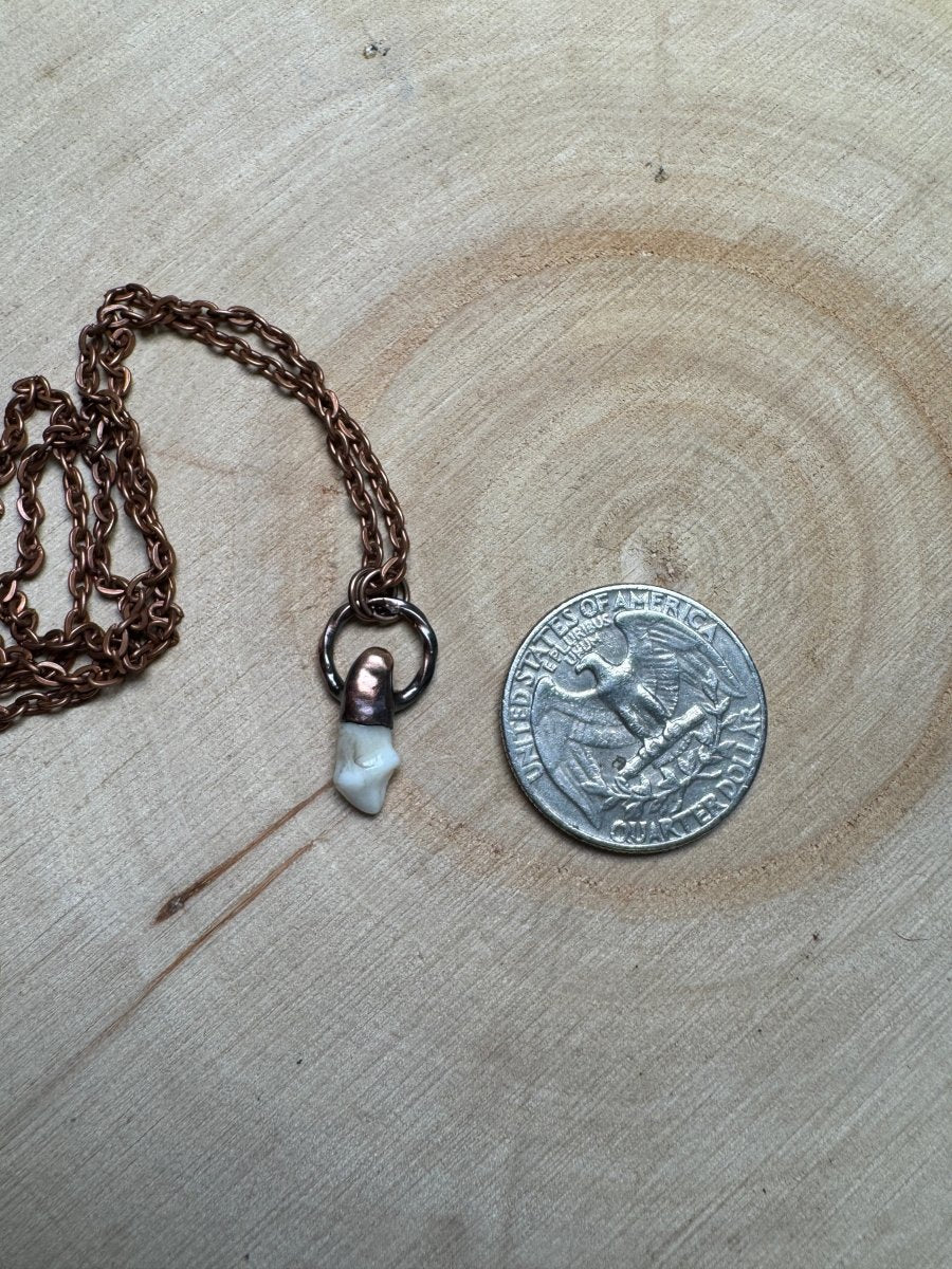 Sibyl - Canine Tooth Necklace | Copper Ashes