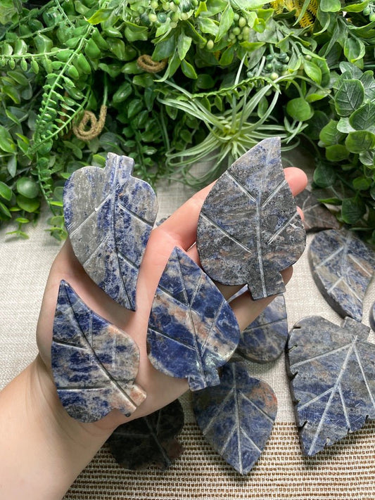 Sodalite Leaf | Copper Ashes
